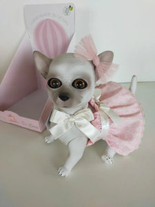 Chihuahua pink dress deals